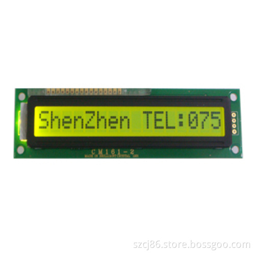 Character LCD (CM161-2SLYA)
